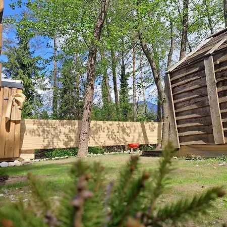 Forest Menina Recica ob Savinji