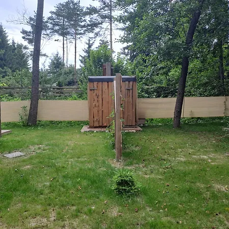 Forest Menina * Recica ob Savinji