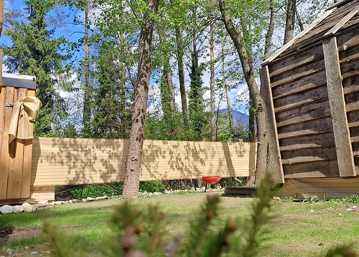 Forest Menina Recica ob Savinji